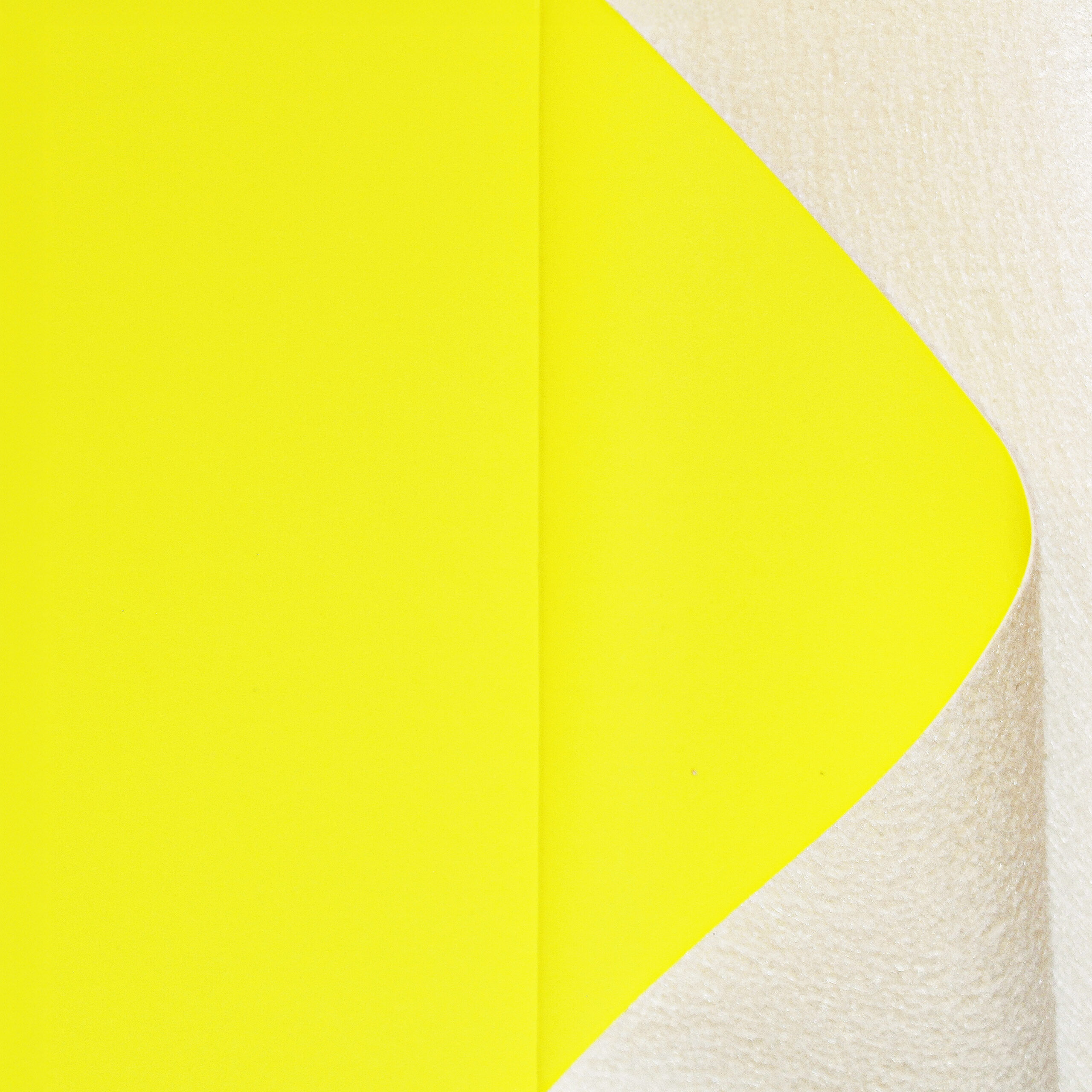 Shamoy 1.50 Petalo Amarelo Fluo