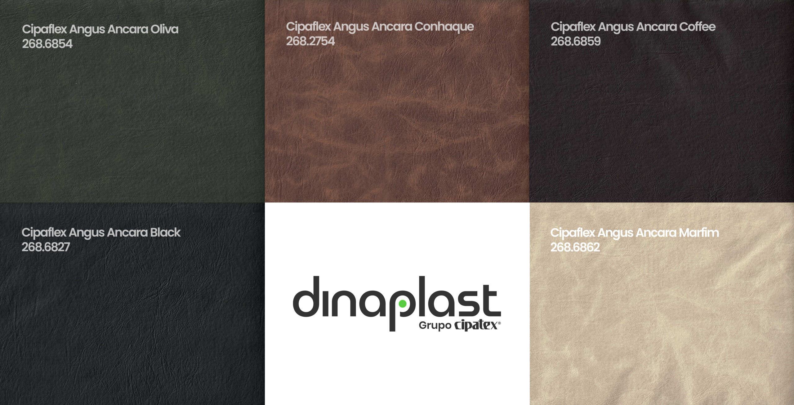 Cipaflex Angus Ancara